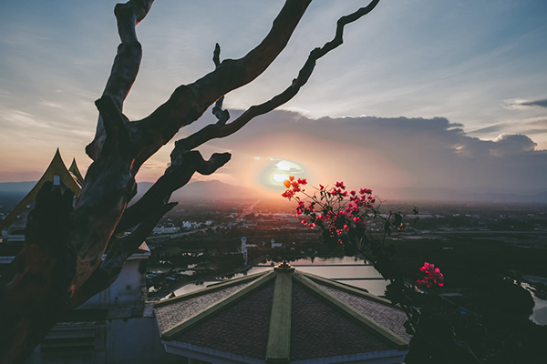 李商隐落花翻译