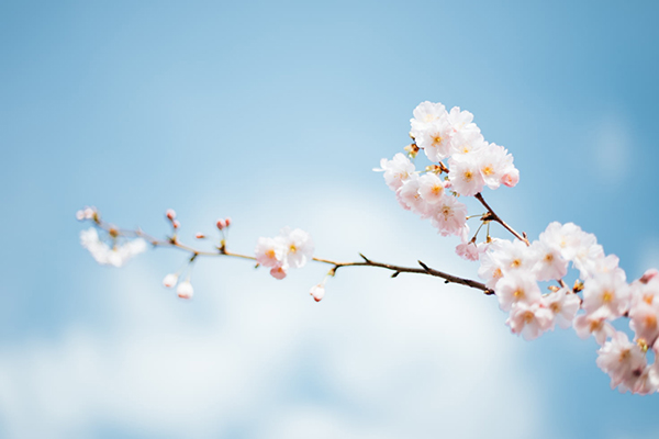 一是什么节